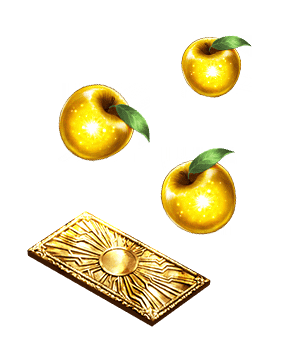 info_image_02.png